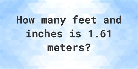 Convert 1.61 Meters to Feet